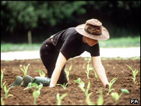 Organic farm