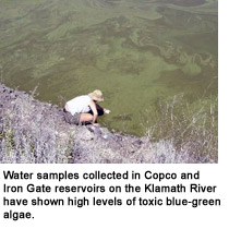 Water samples collected in Copco and Iron Gate reservoirs.