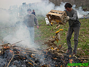 Organic Spanish farmers are burning their maize harvest after it was 