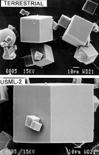 Zeolite crystals grown on Earth (above) and zeolite crystals grown onboard the shuttle Columbia in 1995 (below).