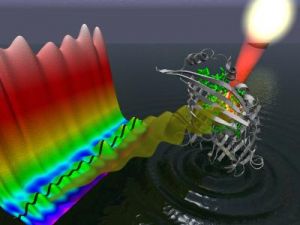 Sunlight absorbed by bacteriochlorophyll (green) within the FMO protein (gray) generates a wavelike motion of excitation energy whose quantum mechanical properties can be mapped through the use of two-dimensional electronic spectroscopy. Image courte ...