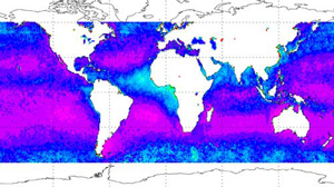 The average amount of dust, pollution and other aerosol particles in the atmosphere has dropped since the 1990s. Global averages were relatively low in the period 2002 to 2005, shown here (highest aerosol levels in light blue, lowest in purple). Credit: NASA Global Aerosol Climatology Project