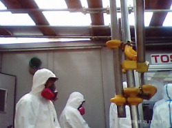Workers at a Toshiba Corp. facility at the Fukushima No. 1 nuclear plant are seen in this photo taken with a hidden camera. (Photo courtesy of Tomohiko Suzuki)