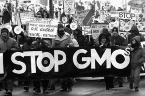 GMO protest