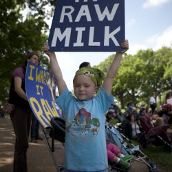Charlie Syski, 7, of Brookville, Md., holds a sign at a protest in favor of raw milk outside the Russell Senate Office Building.  