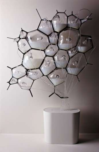 The Philips bio-light consists of galss cells