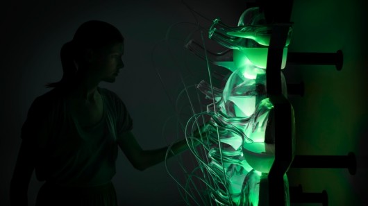The Philips bio-light is 'powered' by glowing bioluminescent bacteria