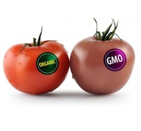 GMO label