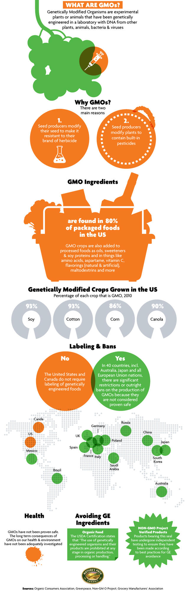GMO infographic