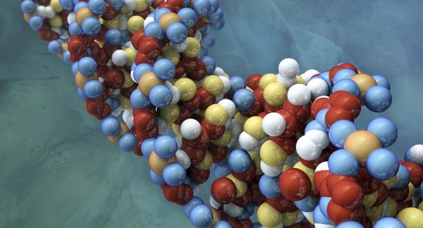 LO RES FEA Photo DNA Testing 01 91813731