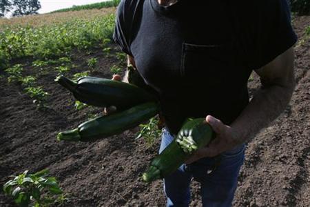 U.S. Farm Income Tops $100 Billion For First Time In 2011 Photo: Reuters/Jessica Rinaldi