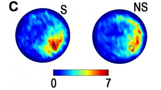 DBS mice (S) spent a greater amount of time (indicated in red) swimming near a submerged l...