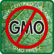 no-gmo-foods
