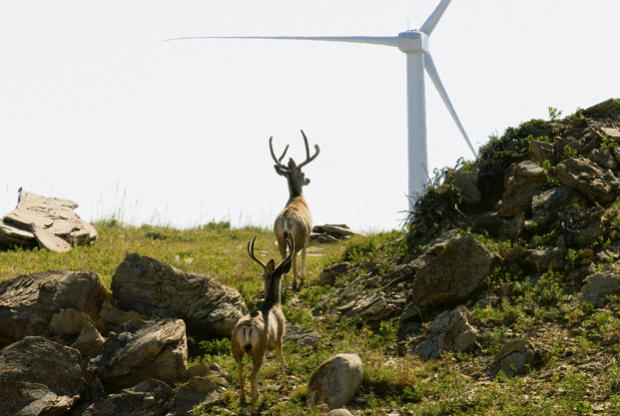 In Depth: A journey into American wind-power's newest frontier 
