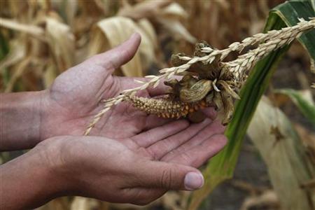 Drought, food prices fan fears of new crisis Photo: Jeff Tuttle