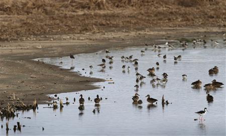Drought tightens grip on top US farm states: climatologists Photo: Jeff Tuttle