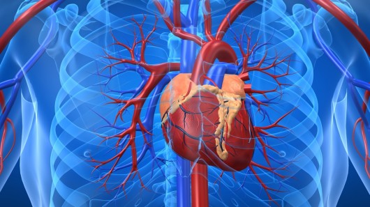 A new understanding of the immune system may be paving the way for the development of a va...