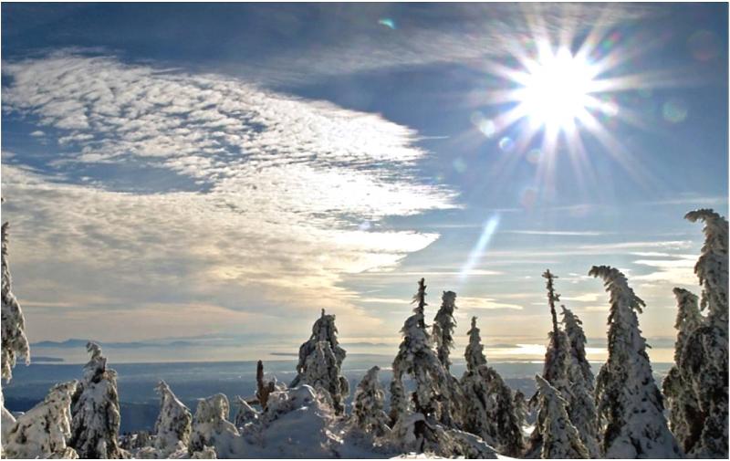 Sunny Winter
