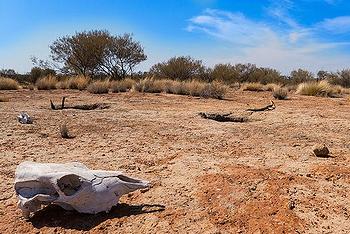 drought Australia