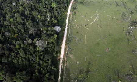 Norway to pay Brazil $180 million for slowing deforestation Photo: Nacho Doce