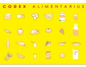 Codex