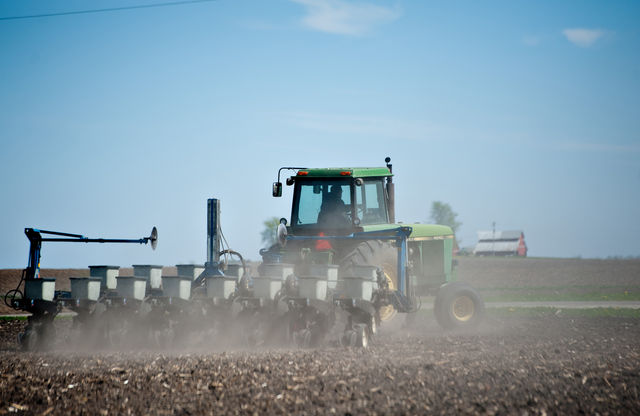 Heat Wave Wilts Corn as Supply Drops Most Since �96