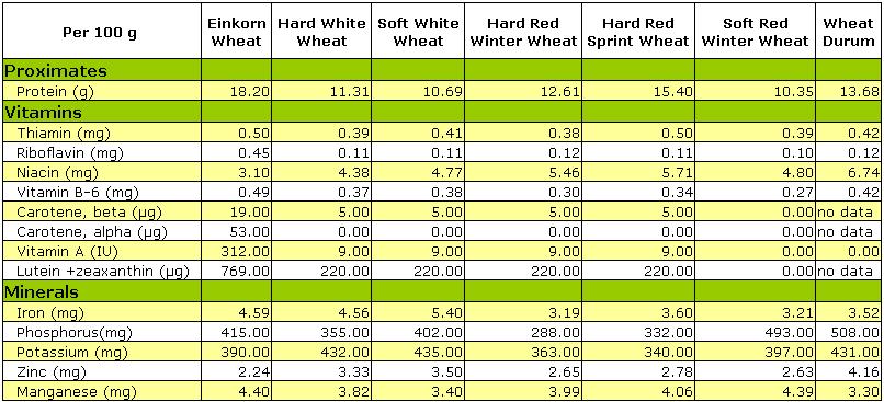 Brief Comparison of Einkorn and Major Types