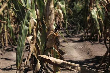 Rains help shrink drought but High Plains still parched Photo: Darren Hauck