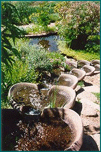 Mountain Stream